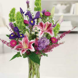 Stargazer Garden