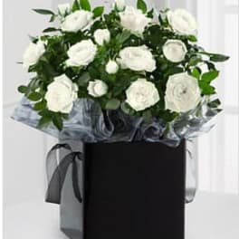 Kind Condolences Mini Rose Plant