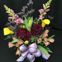 Dahlia spring mix