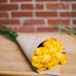 Ready Roses
