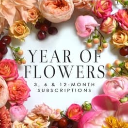 Floral subscription graphic with pink and peach blooms around text
