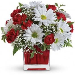 Red and White Delight