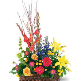 TF203-11 Sunshine Basket