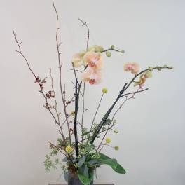 Tall orchid arrangement in a ribbed metal vase with branches and round yellow accents