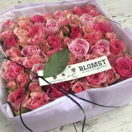 Emily Rose box