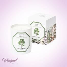 White scented candle in a glass jar with matching box