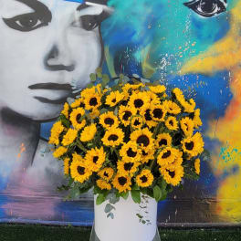 Sunflower field