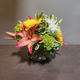 Punch of Color