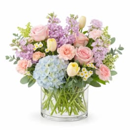 Whimsical Spring