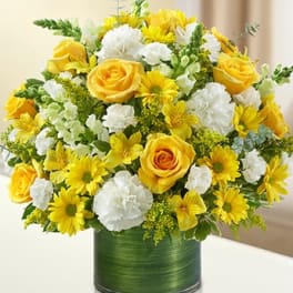 Cherished Memories - Yellow & White