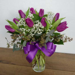 Passionate Purple Tulips
