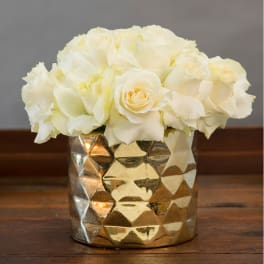 GOLDEN BEAUTY