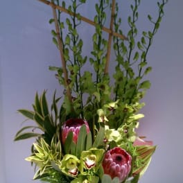 Tropical Garden