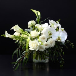 Blanca
