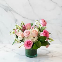 Blush Garden