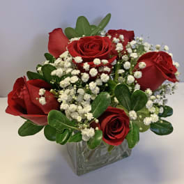 Love's Embrace Roses - SIX RED
