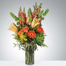 Autumn In Bloom