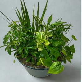 Micro Garden