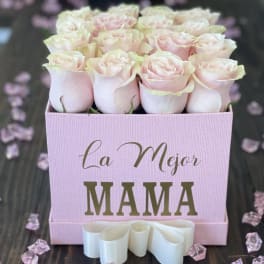 LA MEJOR MAMA