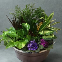 Bountiful Botanicals
