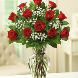 Red Rose Special
