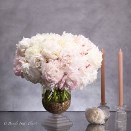 A PEONY FAIRY TALE