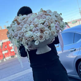 The neutral rose queen