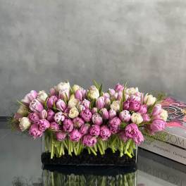 Tulips please!
