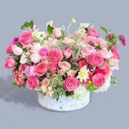 Song of Roses