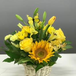 Lemon Meringue