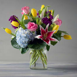 Garden Variety Special