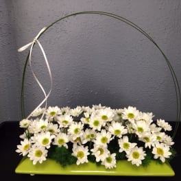 Spring Awakening