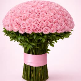Pink Perfection
