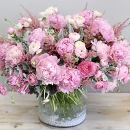 Peony Petals - WeHo