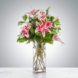 Splendent Stargazers by BloomNation™