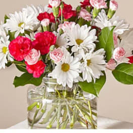 Bouquet of white daisies and pink carnations in a clear glass vase