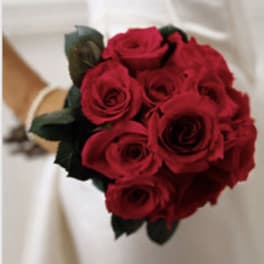 Passionate Red