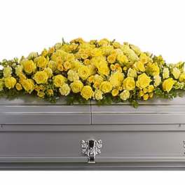 Yellow Embrace