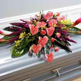 SF51-11 - John Henry Sympathy