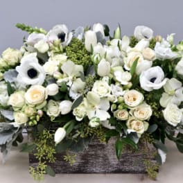 Anemone Box - WeHo