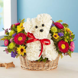 Doggy in a Basket