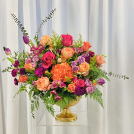 Burst of Orange