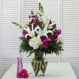 Fancy and Fuchsia