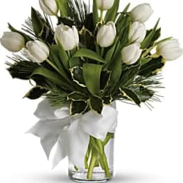 Tulips And Pine