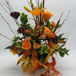 Burnt Orange Meadow