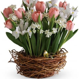 Pink tulips and white flowers arranged in a twig nest basket