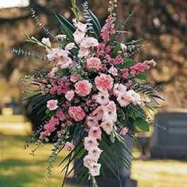 Pink Promise Standing Spray