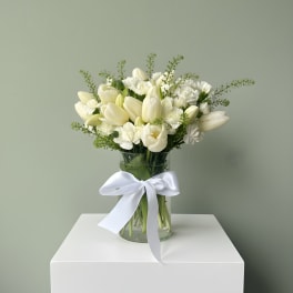 Pure White Tulip Elegance