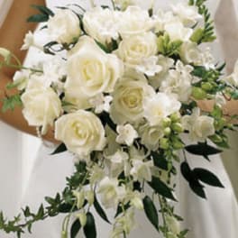 Elegant Romance