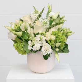 Simple Whites